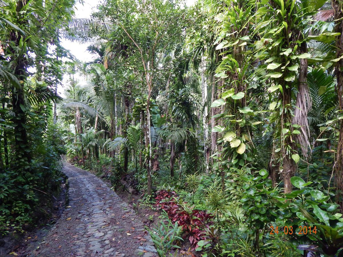 Esa Bay View Hotel Colonia 外观 照片